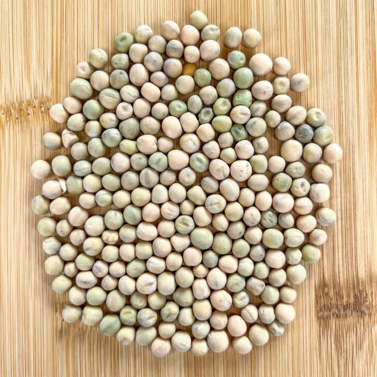Blaze Winter Pea