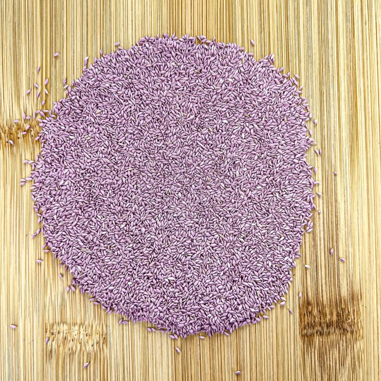 Common Bermudagrass, Unhulled Coated