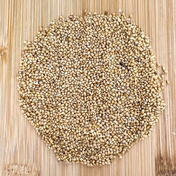 German R. Foxtail Millet