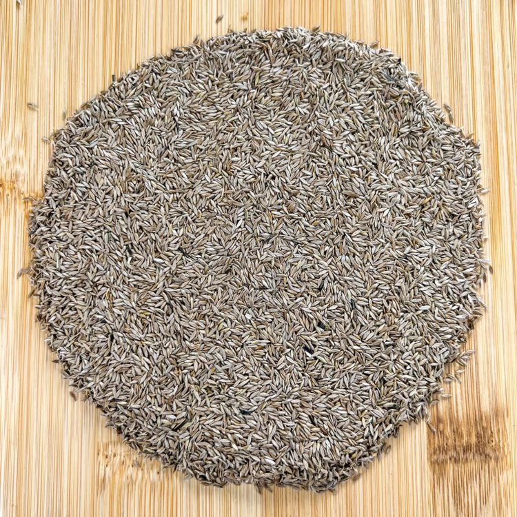 Red River Crabgrass