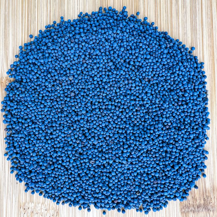 Riley Canola